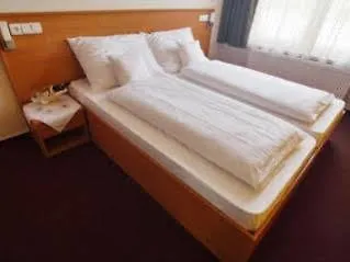 Hotel Rakovec Brno